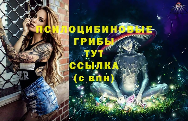 стаф Алексеевка