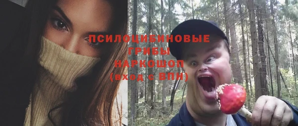 стаф Алексеевка
