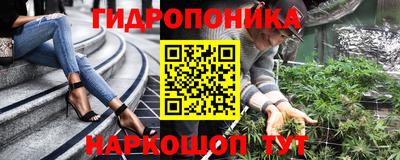прущие грибы Гусев