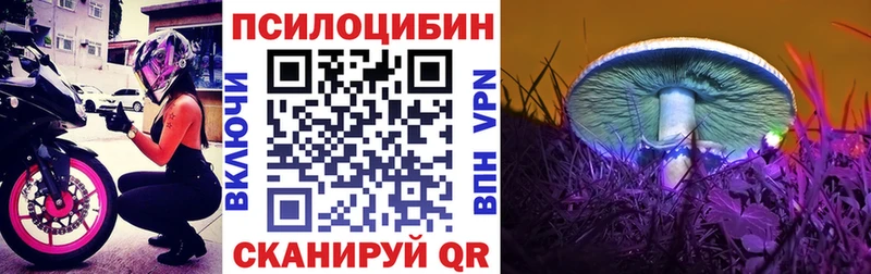 Галлюциногенные грибы Psilocybe  цены наркотик  Можга 
